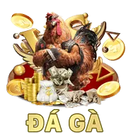 Liên hệ hỗ trợ G88
